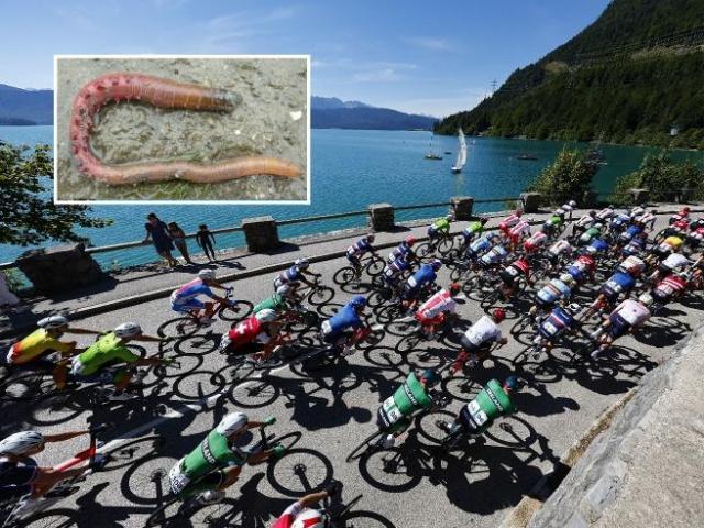 1700539063405095539.jpg 7m比分足球即时比分-体育界当心:这种40倍超级兴奋剂,8小时可逃药检