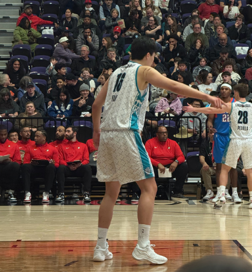 G联赛：杨瀚森14+17+2+2帽创篮板新高 率混音大胜双杀蓝队